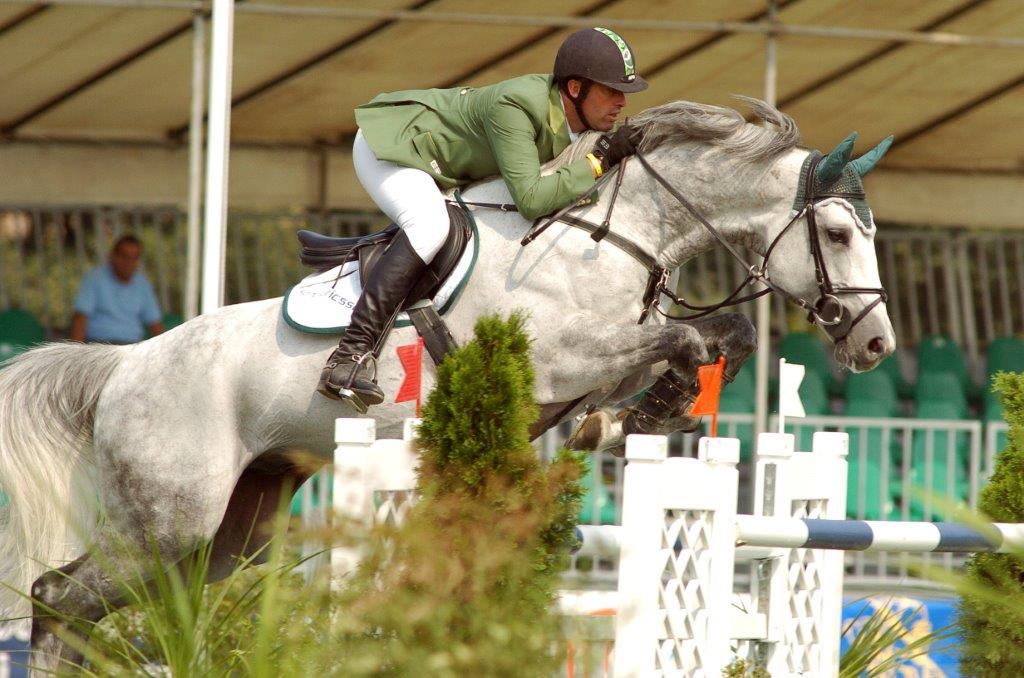 Nadir.jpg - Stalloni di Allevamento Biancospino Cavalli Sportivi