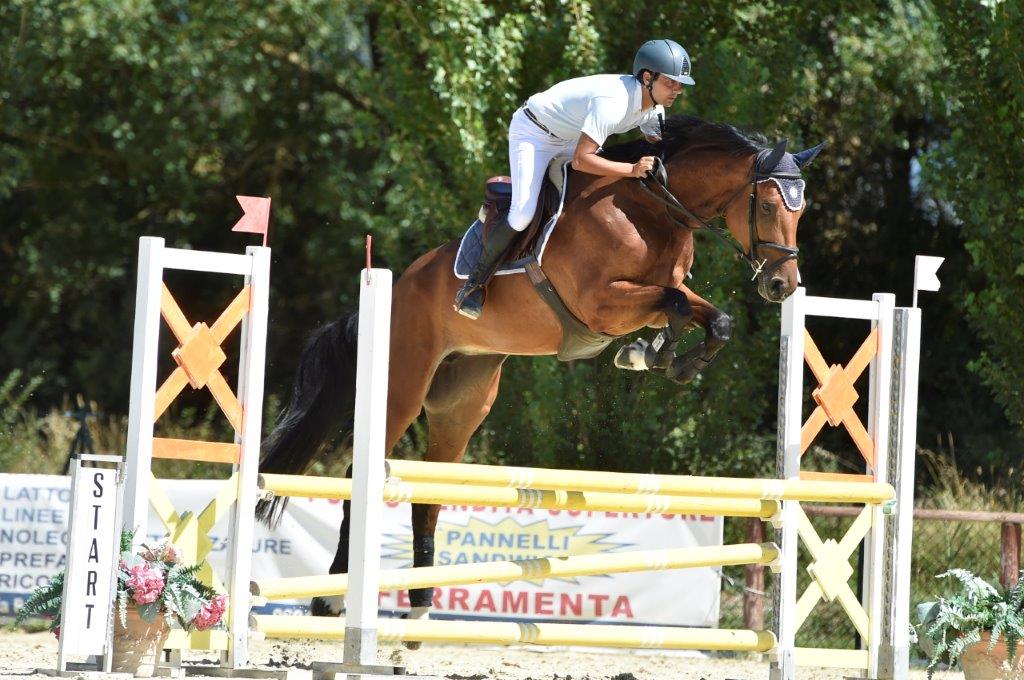 _SAB9194.jpg - Cavalli in sport di Allevamento Biancospino Cavalli Sportivi